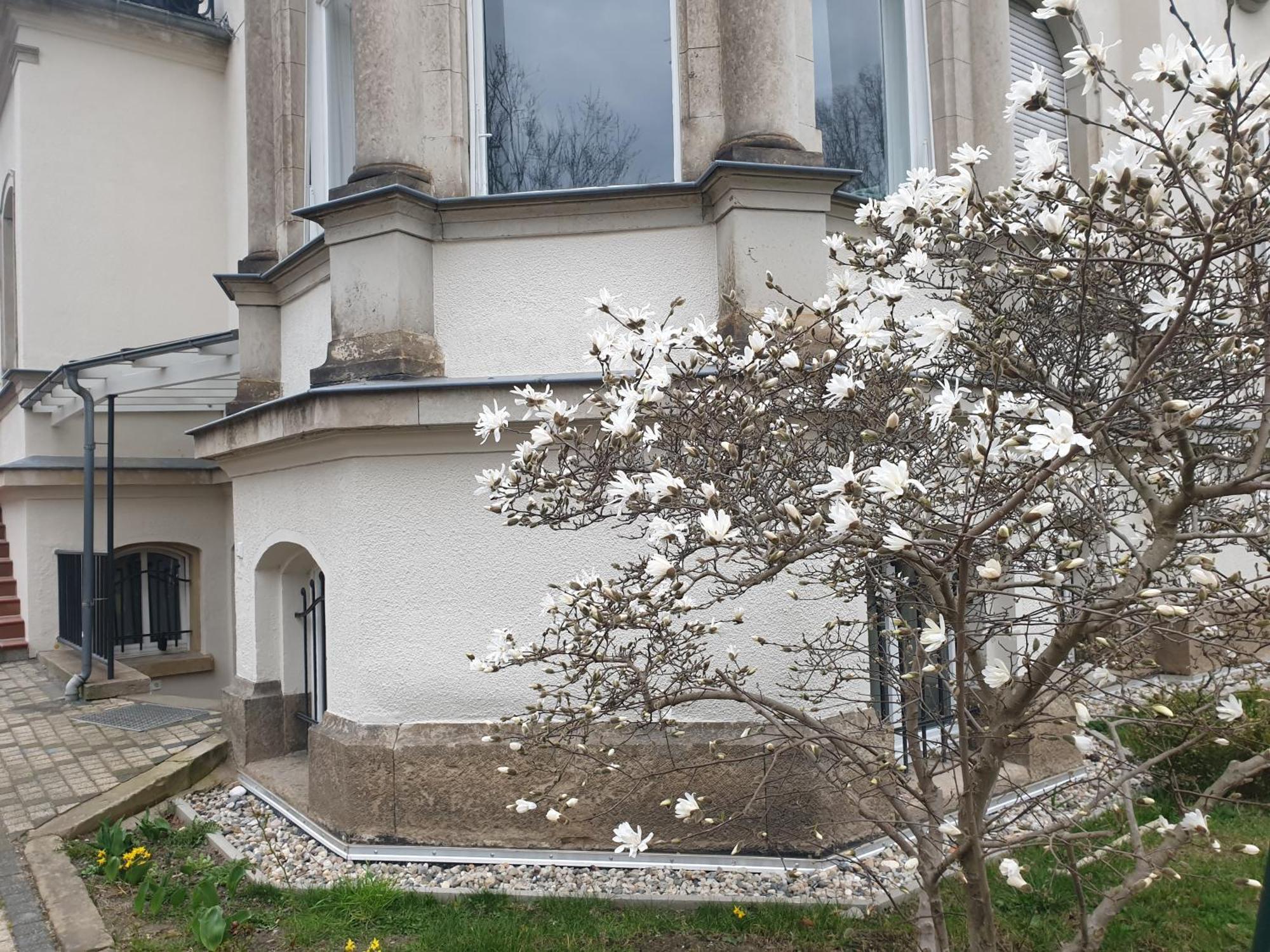 Wiener Palais Am Grossen Garten, Arbeitsplatz, Familie, 7 Pers, Smart-Tv Dresden Ngoại thất bức ảnh